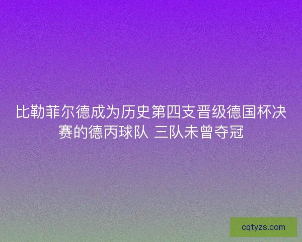 比勒菲尔德成为历史第四支晋级德国杯决赛的德丙球队 三队未曾夺冠